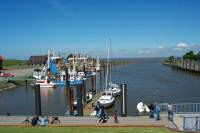 Blick auf Hafen in Fedderwardersiel an der Nordsee