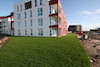 Bautenstand am 28. Oktober 2019, Residenz Bollwark in Olpenitz-Hafen, Ostsee